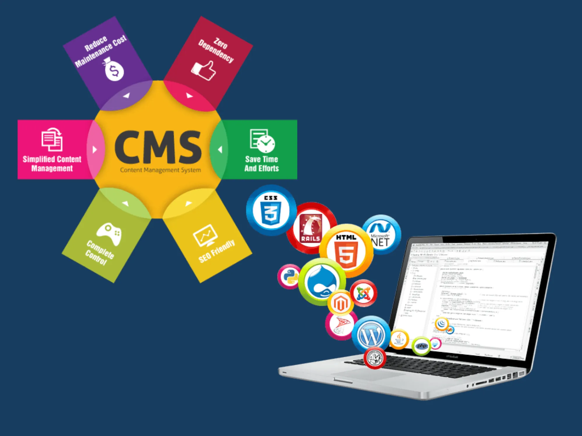 CMS Development